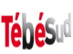 TébéSud TV en direct